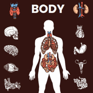 ebook cover for human body colouring book
